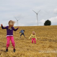 Environment Activity